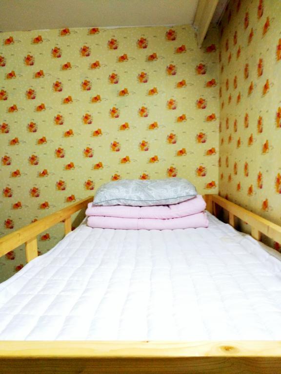 Wushe International Youth Hostel جياشينغ المظهر الخارجي الصورة